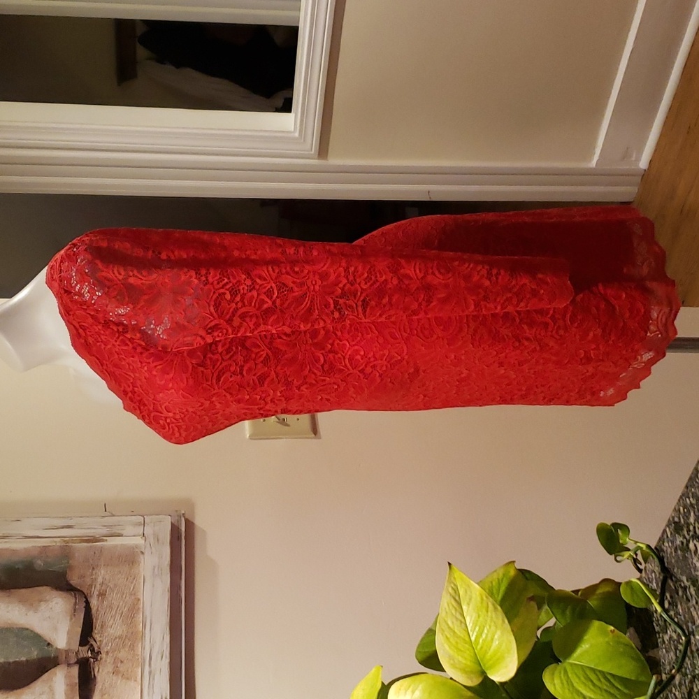Express Dress - Picture 5 of 12